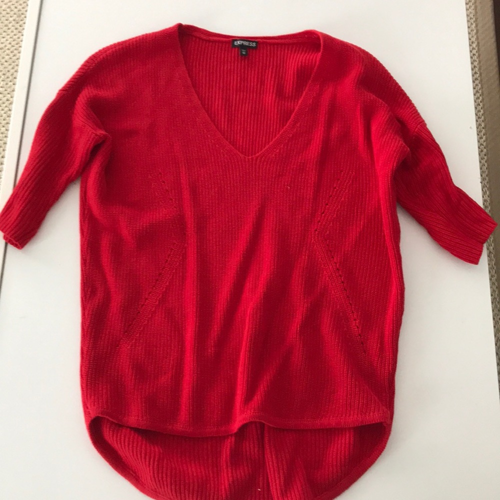 Express v-neck sweater